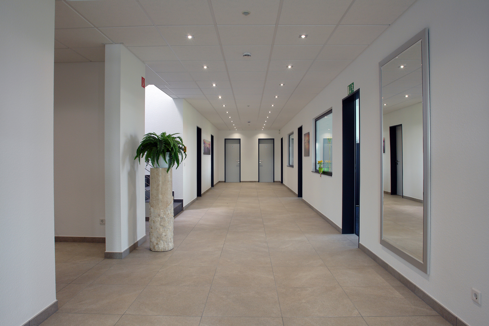 Offices of the company building | Pludra International